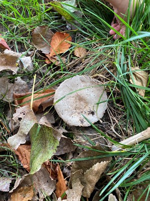 IMG_3797