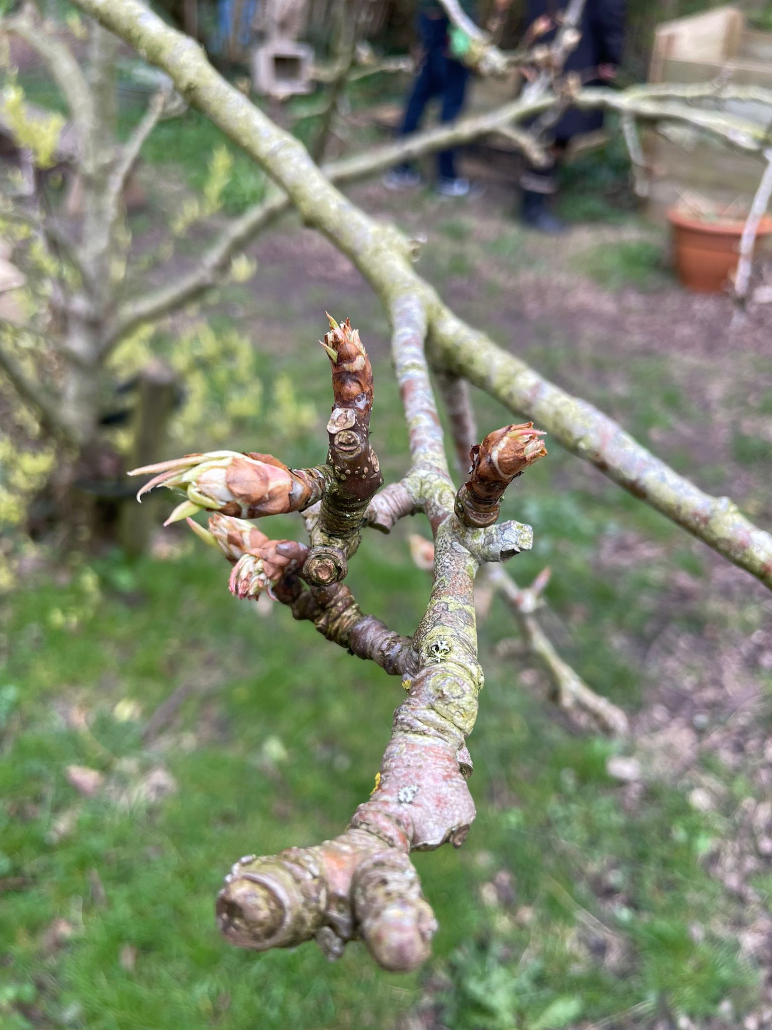 Vrienden van de Keerkring 