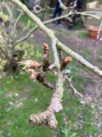 PHOTO-2024-03-16-13-56-08 (1) PHOTO-2024-03-16-13-56-08 (1)