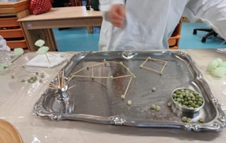 e8a5dc53-3f3b-4790-a758-6da1d2a0ee99