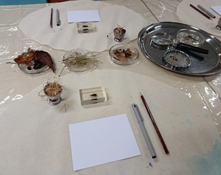 8a2424a4-f2d4-4079-8b11-2443e470c0fd