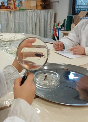 83c4a566-0dc3-419b-93a5-53bce1c2519b