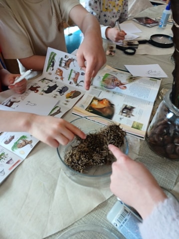 65b09ff3-a33e-4382-9567-d7b6a717bd6e