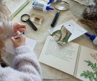 429ed1d1-1062-4412-b7b1-963bede619ca